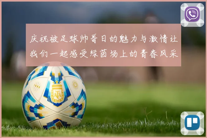 庆祝被足球帅哥日的魅力与激情让我们一起感受绿茵场上的青春风采