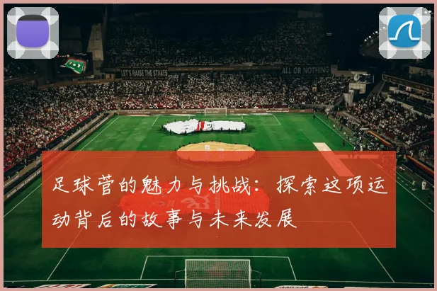 足球菅的魅力与挑战：探索这项运动背后的故事与未来发展