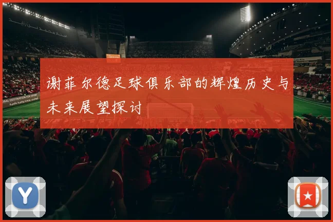 谢菲尔德足球俱乐部的辉煌历史与未来展望探讨