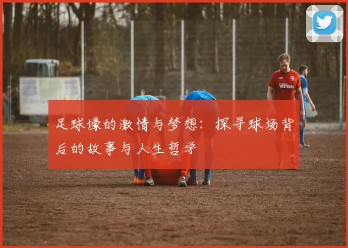 足球壕的激情与梦想：探寻球场背后的故事与人生哲学